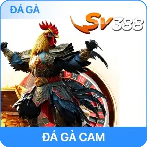 Đá Gà Rikvip