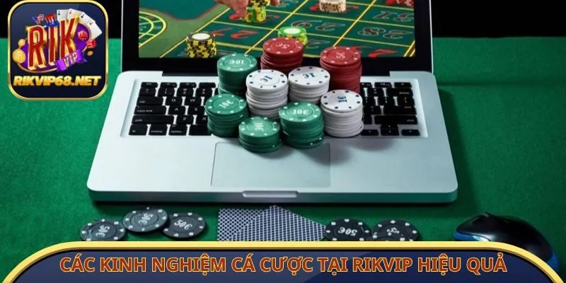 Các kinh nghiệm cá cược tại Rikvip hiệu quả