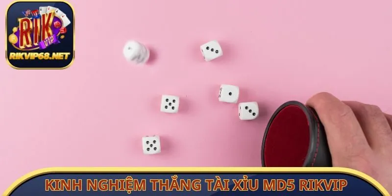 Kinh nghiệm thắng Tài Xỉu MD5 RIKVIP nên tham khảo