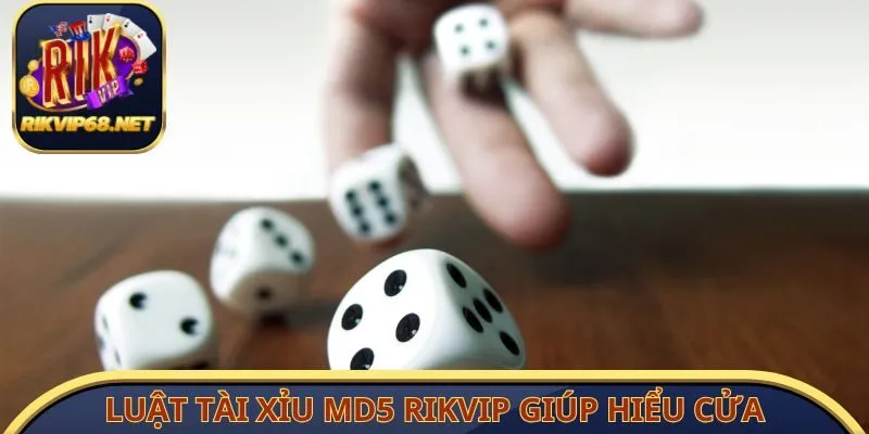 Luật Tài Xỉu MD5 RIKVIP giúp bạn hiểu rõ từng cửa