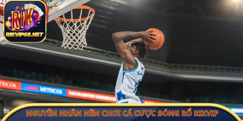 Nguyên nhân nên chơi cá cược bóng rổ Rikvip